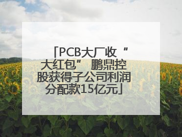 PCB大厂收“大红包” 鹏鼎控股获得子公司利润分配款15亿元